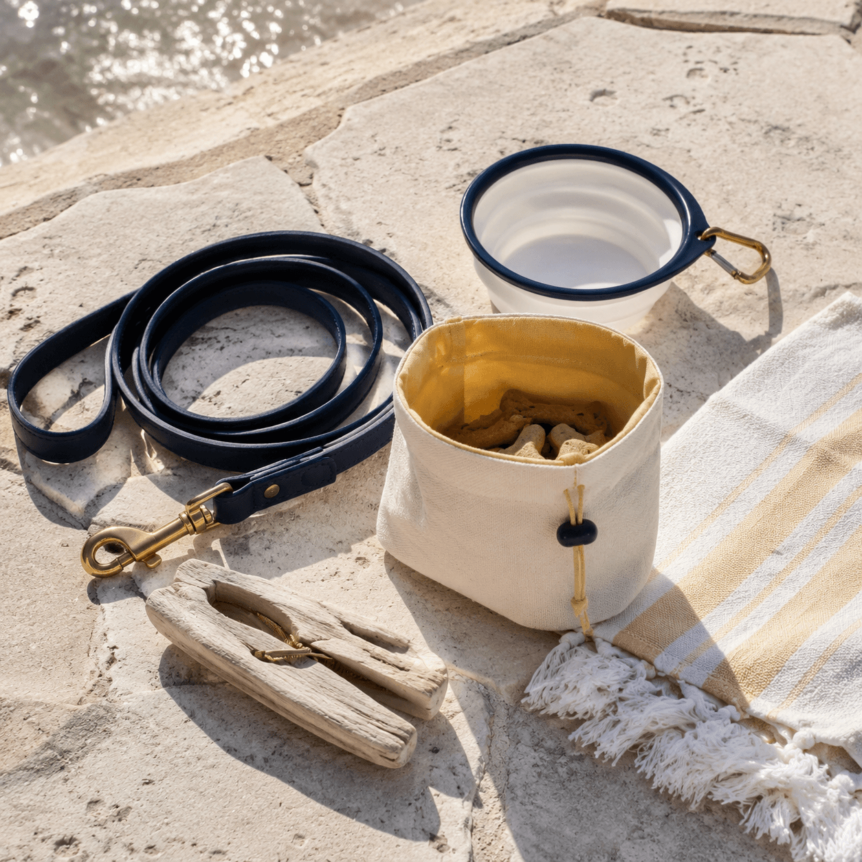 A light morning kit — thin leash, folding bowl and canvas pouch for a calm seafront stroll.